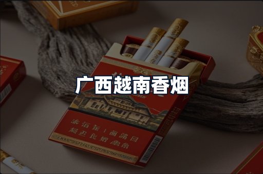 广西越南香烟